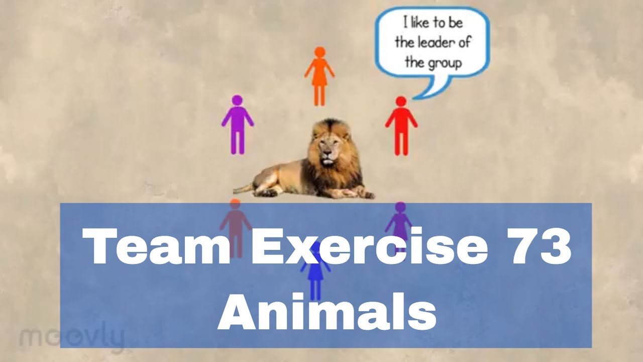 Personality Games - Animals